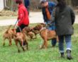 IMG_1991x.JPG