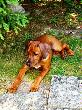 CIMG0684home.JPG