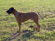 CIMG3497x_bearbeitet-1.jpg