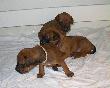 CIMG4628x.JPG