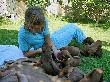 CIMG4706x_bearbeitet-1.jpg