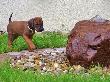 CIMG5042x_bearbeitet-1.jpg