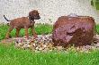 CIMG5043x_bearbeitet-1.jpg