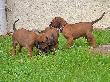 CIMG5125x_bearbeitet-1.jpg