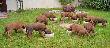 CIMG5196x_bearbeitet-1.jpg