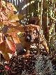 CIMG5275x.JPG