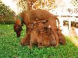 CIMG5388x_bearbeitet-1.jpg