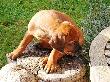 CIMG5349x_bearbeitet-1.jpg
