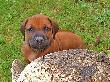 CIMG5348x_bearbeitet-1.jpg