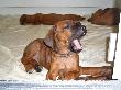 CIMG5506x_bearbeitet-1.jpg