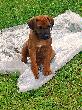 CIMG5681x_bearbeitet-1.jpg