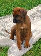 CIMG5682x_bearbeitet-1.jpg