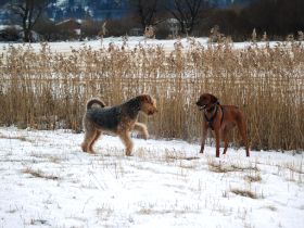 Ogau Jan 09 057.jpg