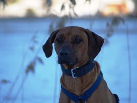 Ogau Jan 09 276.jpg