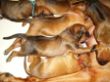 CIMG8252x.JPG