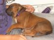 CIMG8704x.JPG