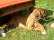 CIMG9431x.JPG