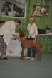 nikando0045.jpg
