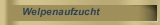 Welpenaufzucht